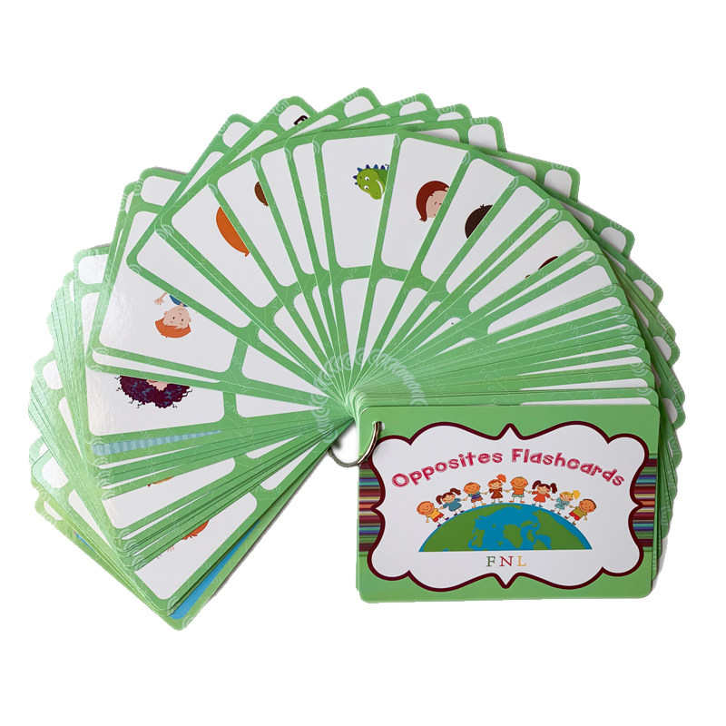 The 100 Groups Opposites Flash - Kids Educational Resources 评论和价格