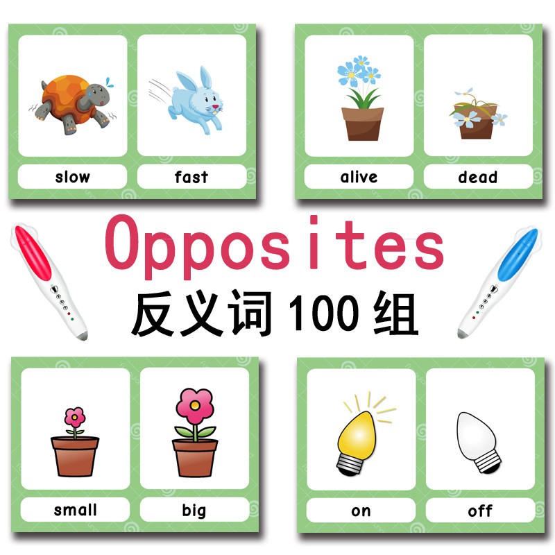 The 100 Groups Opposites Flash - Kids Educational Resources 评论和价格