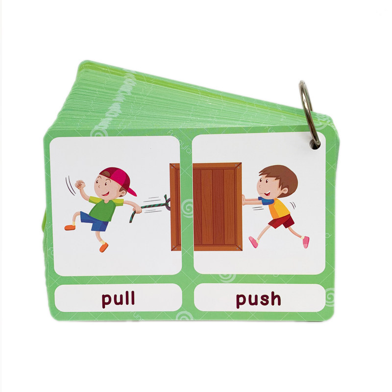 The 100 Groups Opposites Flash - Kids Educational Resources 评论和价格