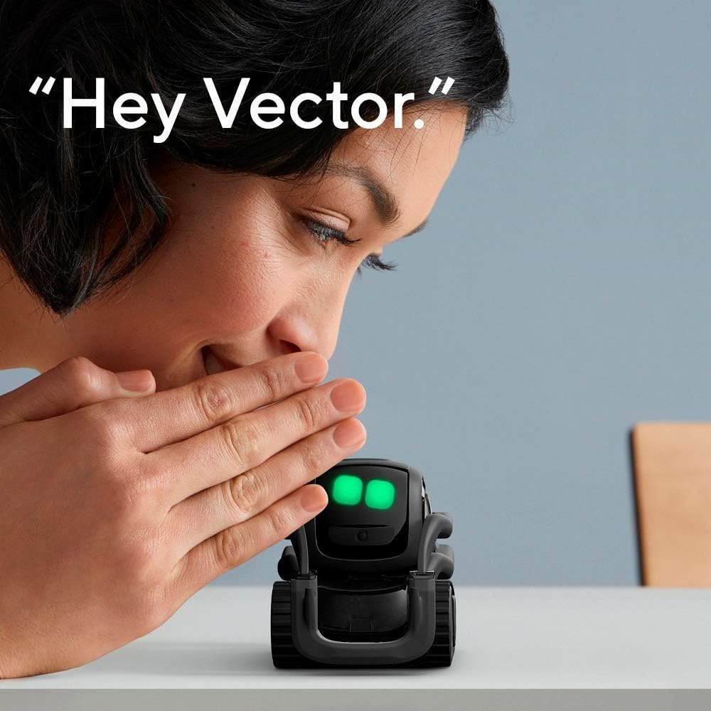 AI ChatGPT 2.0 Connected Robot - Kids Education Toys 评论和价格